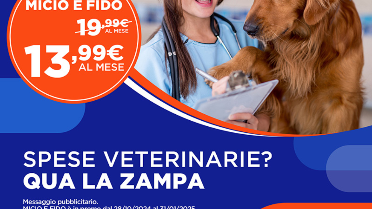 w3-spese-veterinarie