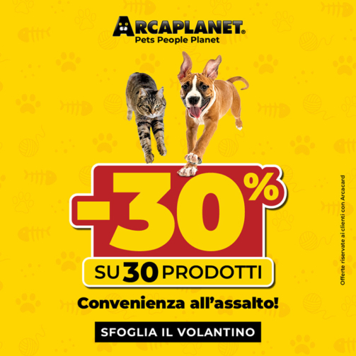arcaplanet-30